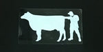 Sticker Palpation Nation (White)
